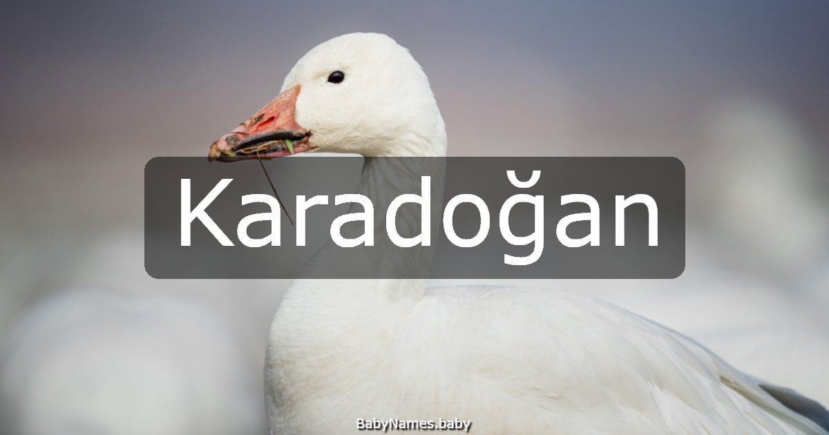 Karadoğan