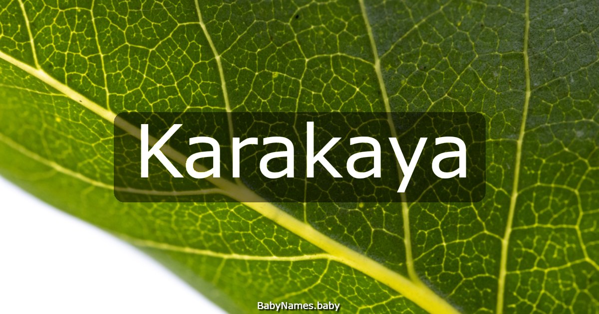 Karakaya
