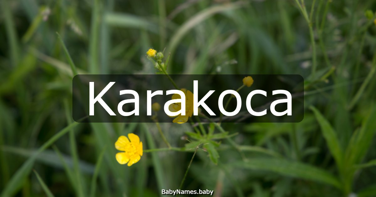 Karakoca