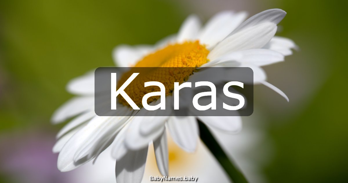 Karas