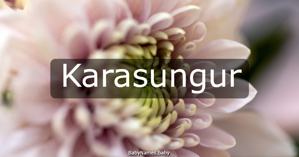 Karasungur