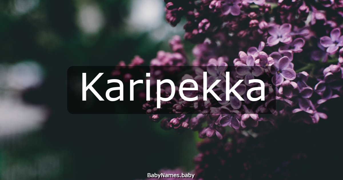 Karipekka