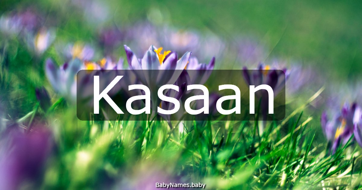 Kasaan