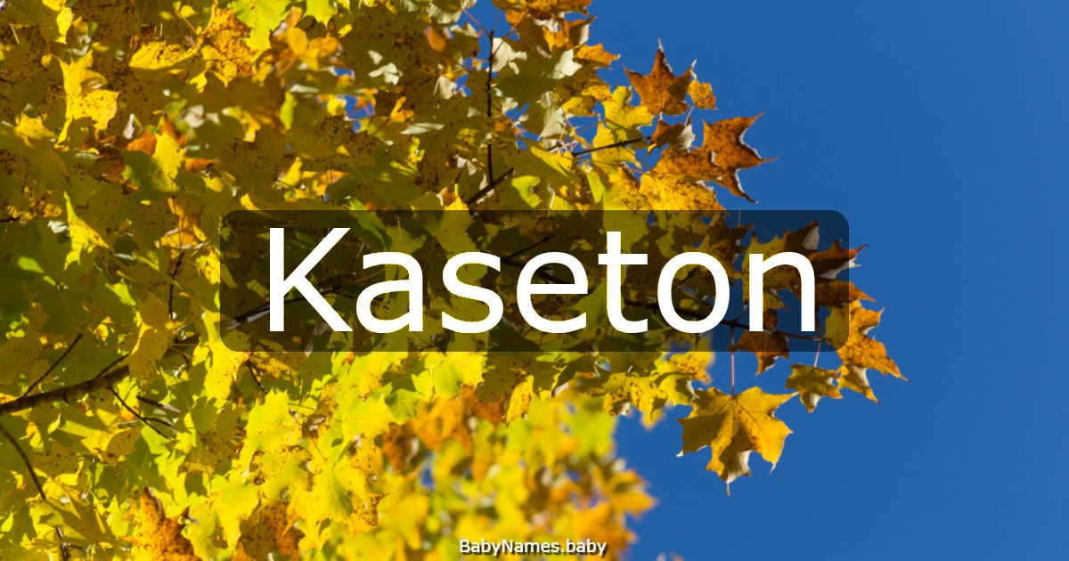 Kaseton