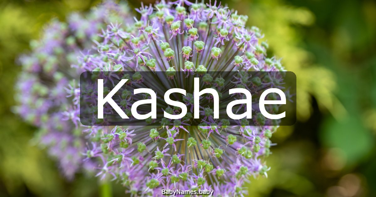 Kashae
