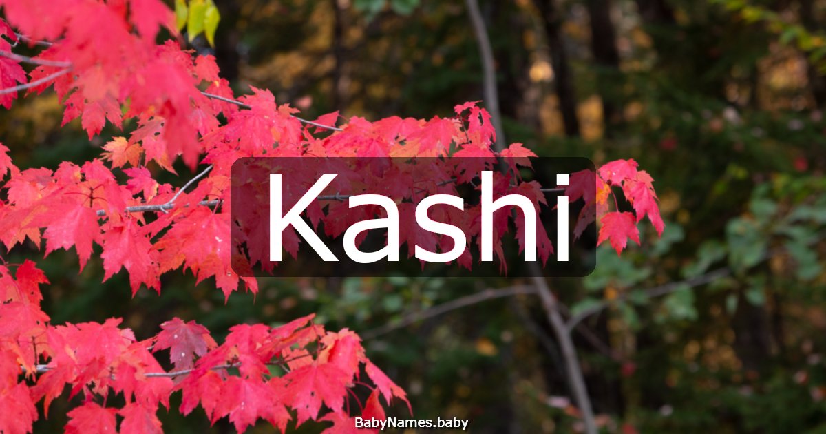 Kashi