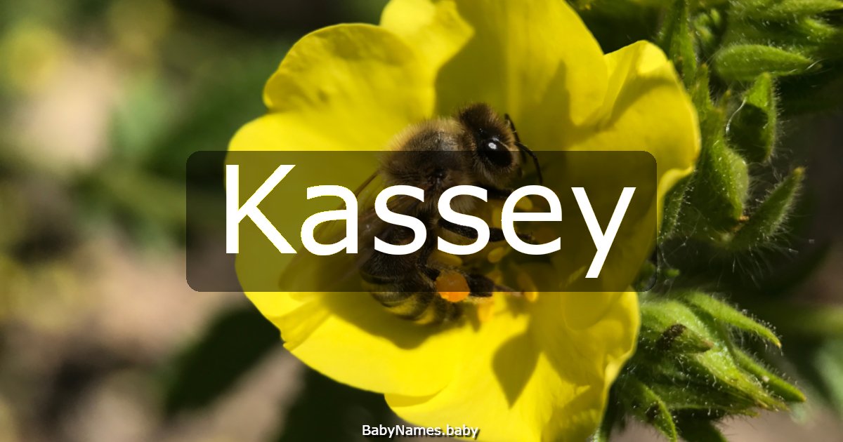 Kassey