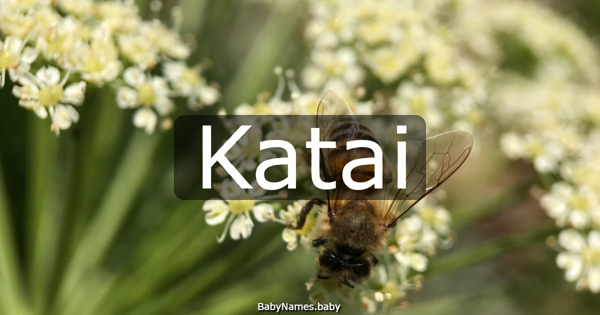Katai