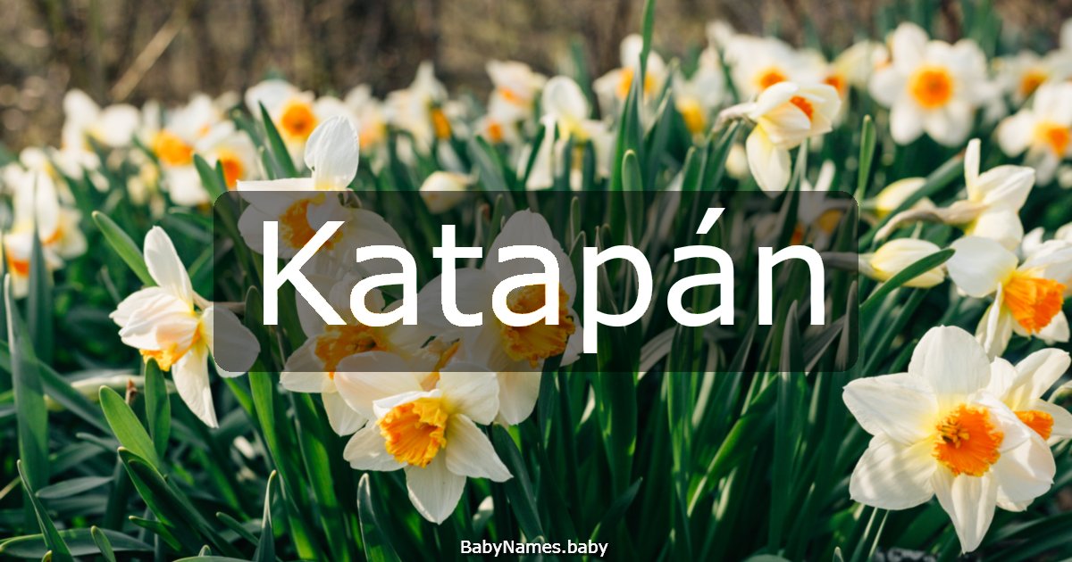 Katapán