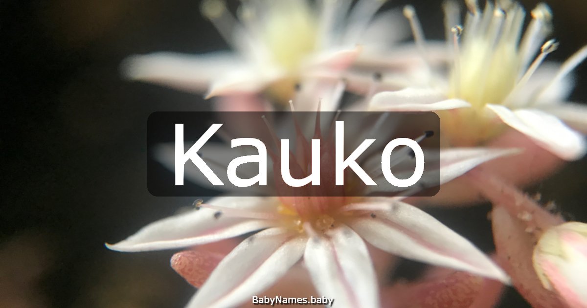 Kauko