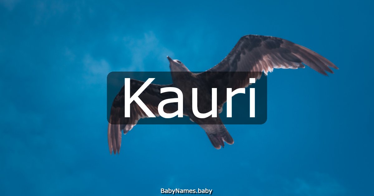 Kauri