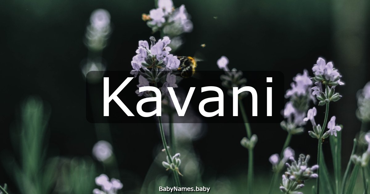 Kavani