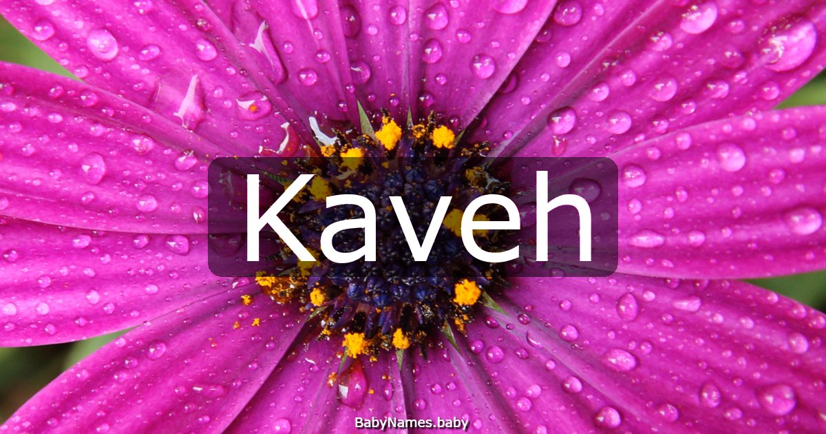 Kaveh
