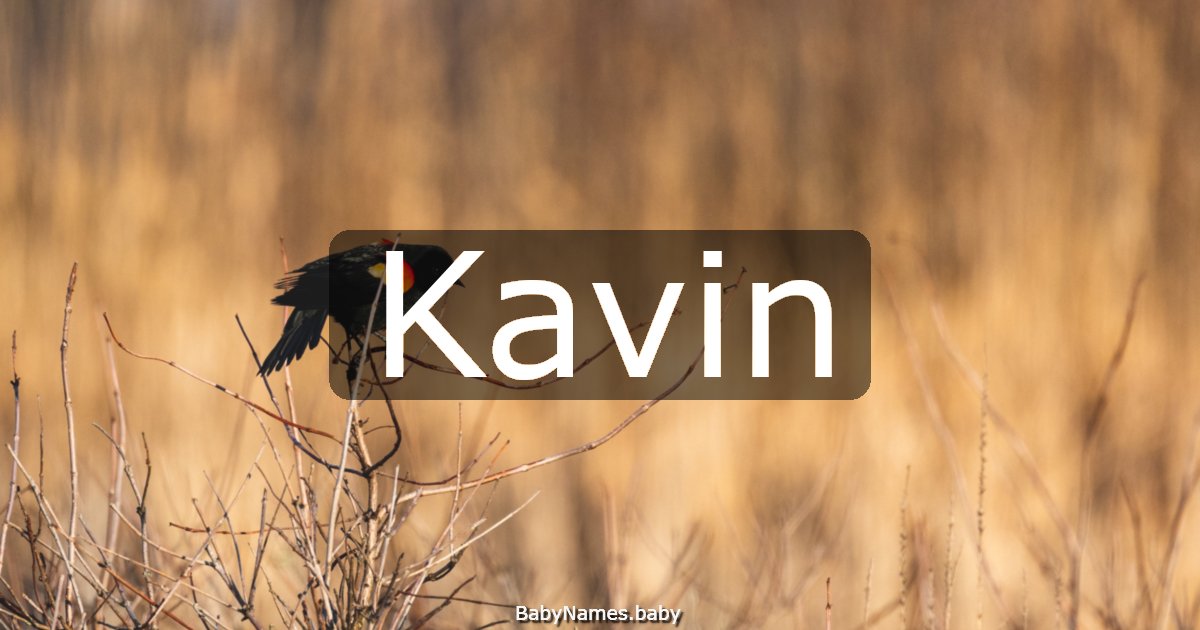 Kavin