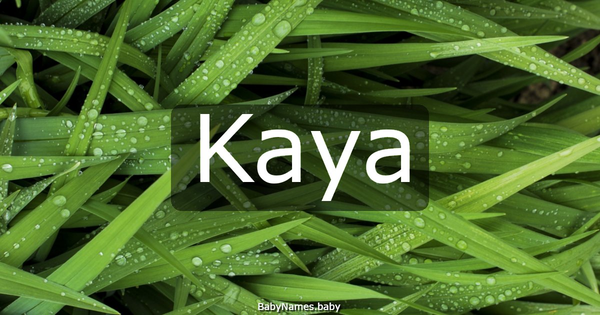 Kaya