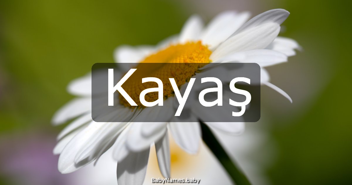Kayaş