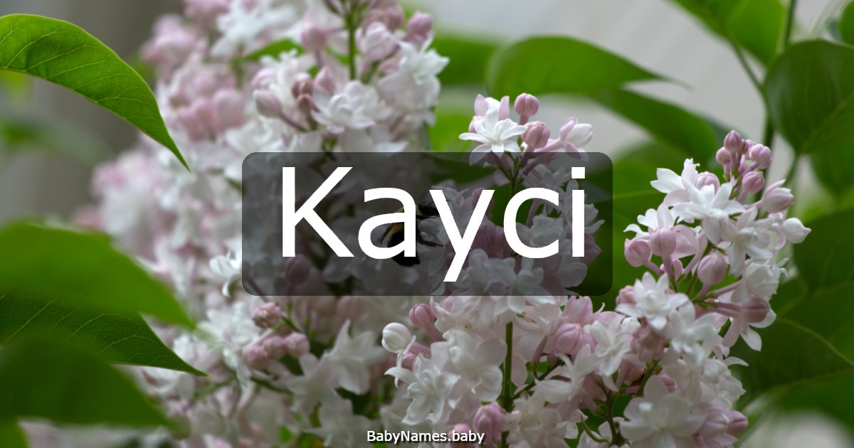 Kayci