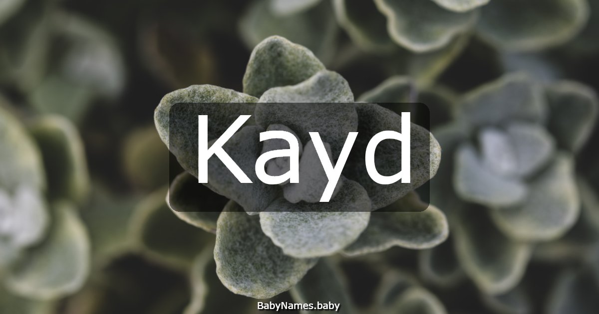 Kayd