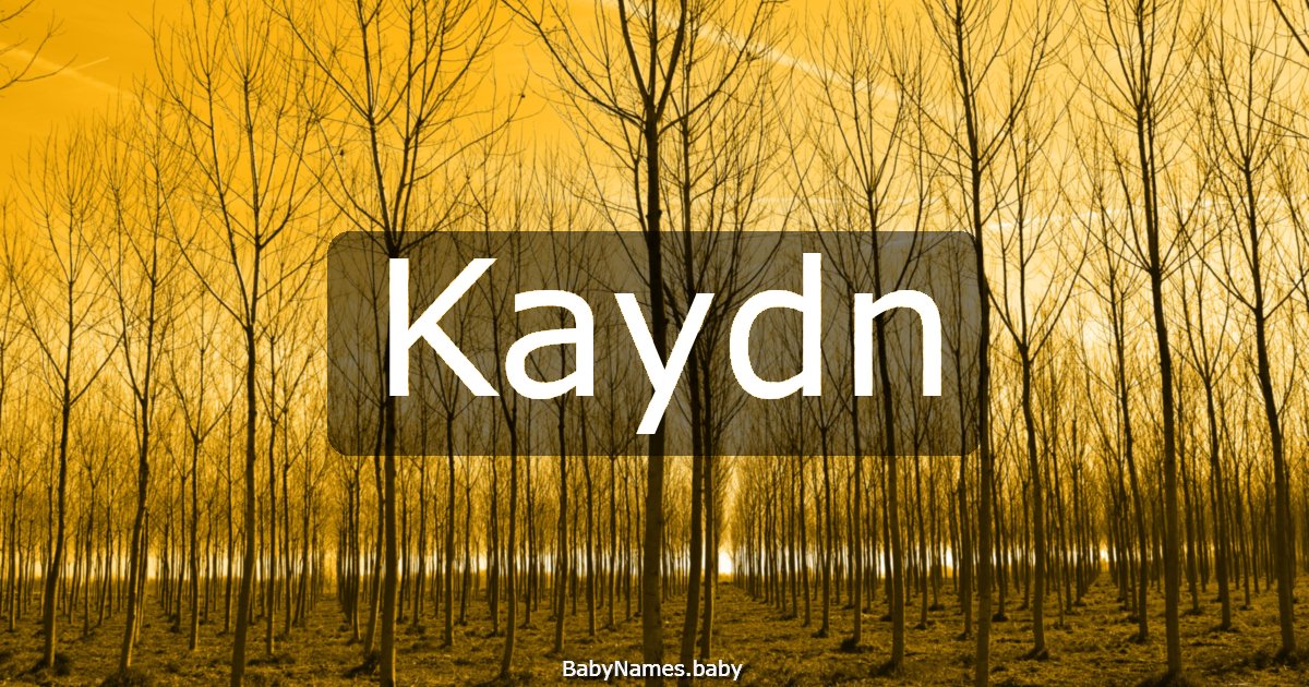 Kaydn