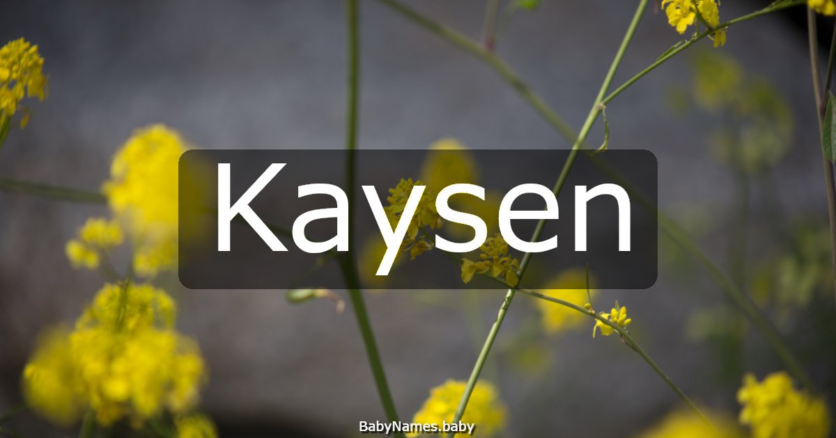 Kaysen
