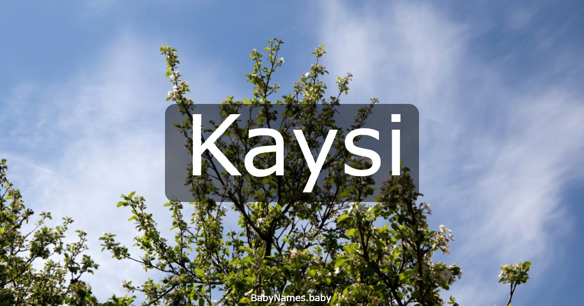 Kaysi