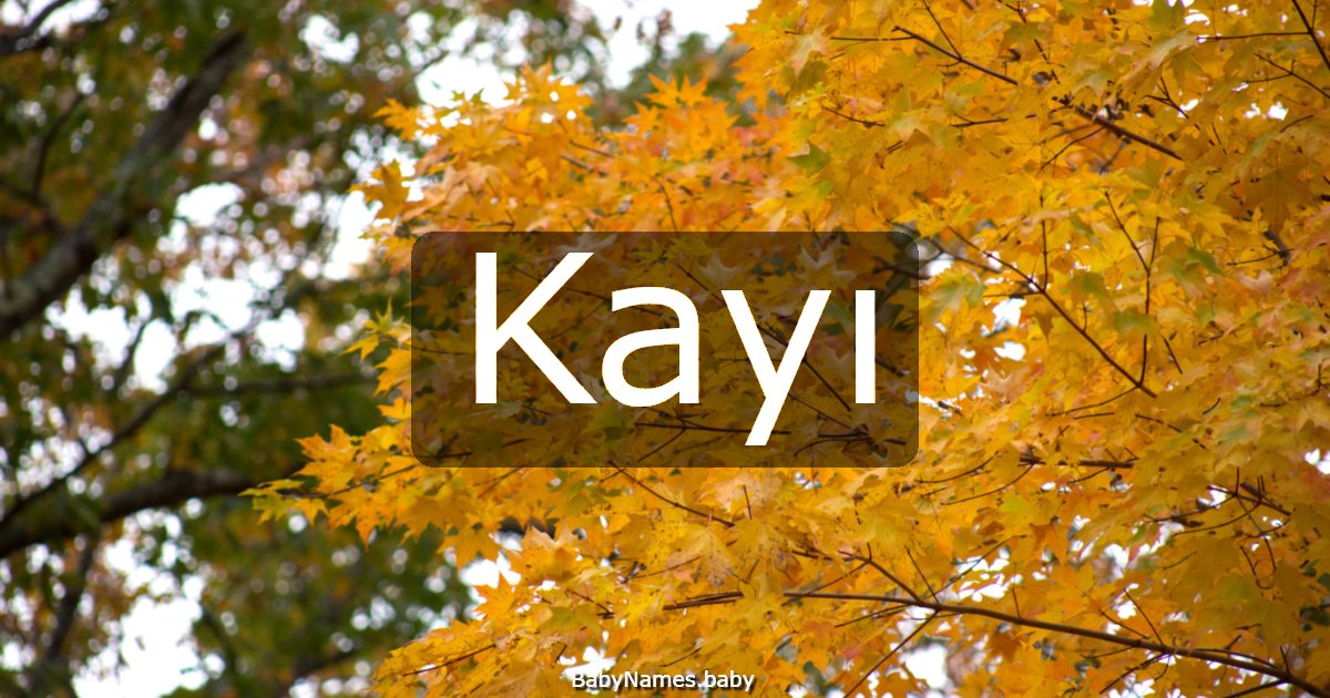 Kayı