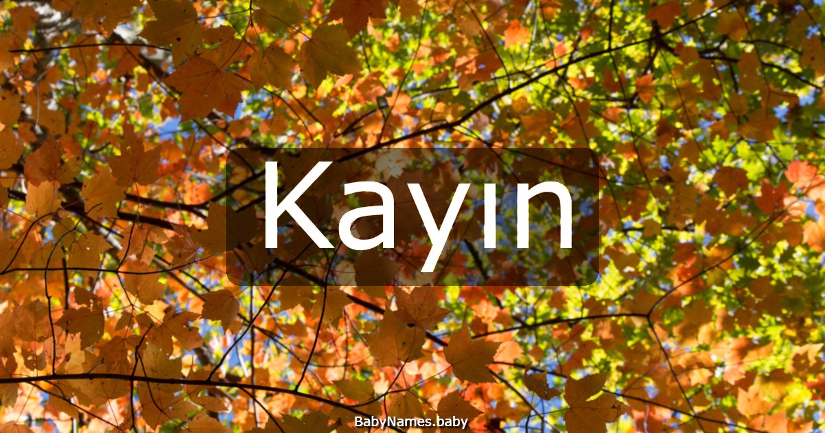 Kayın