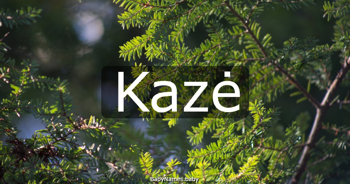 Kazė