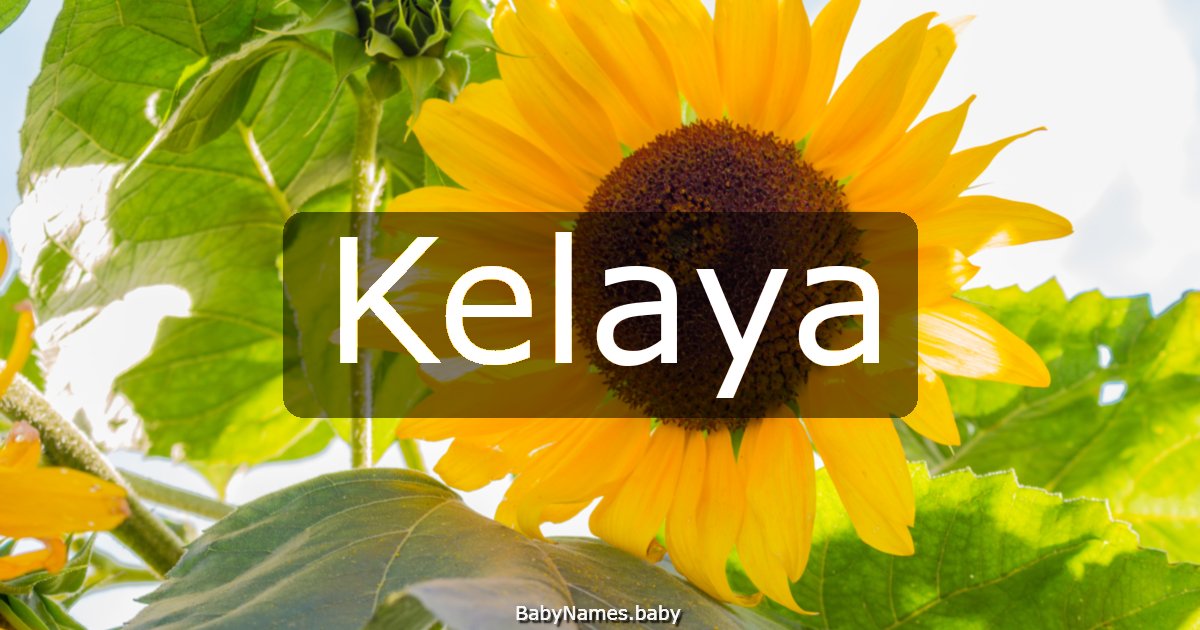 Kelaya