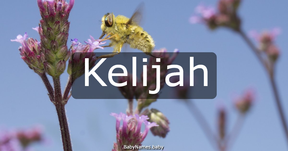 Kelijah