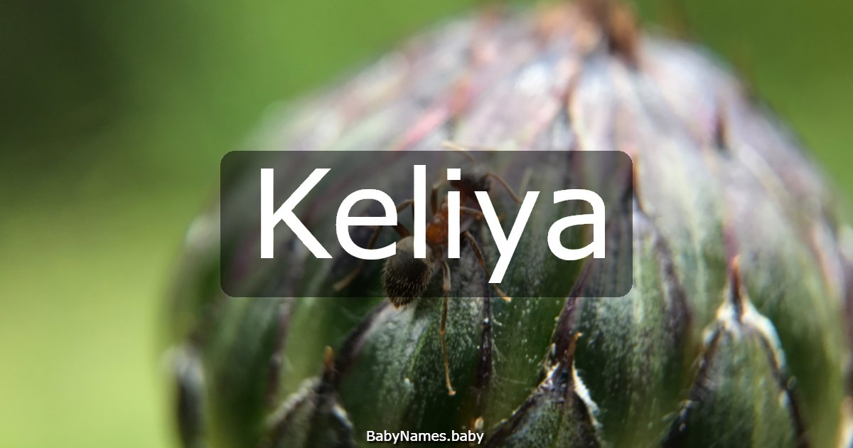 Keliya