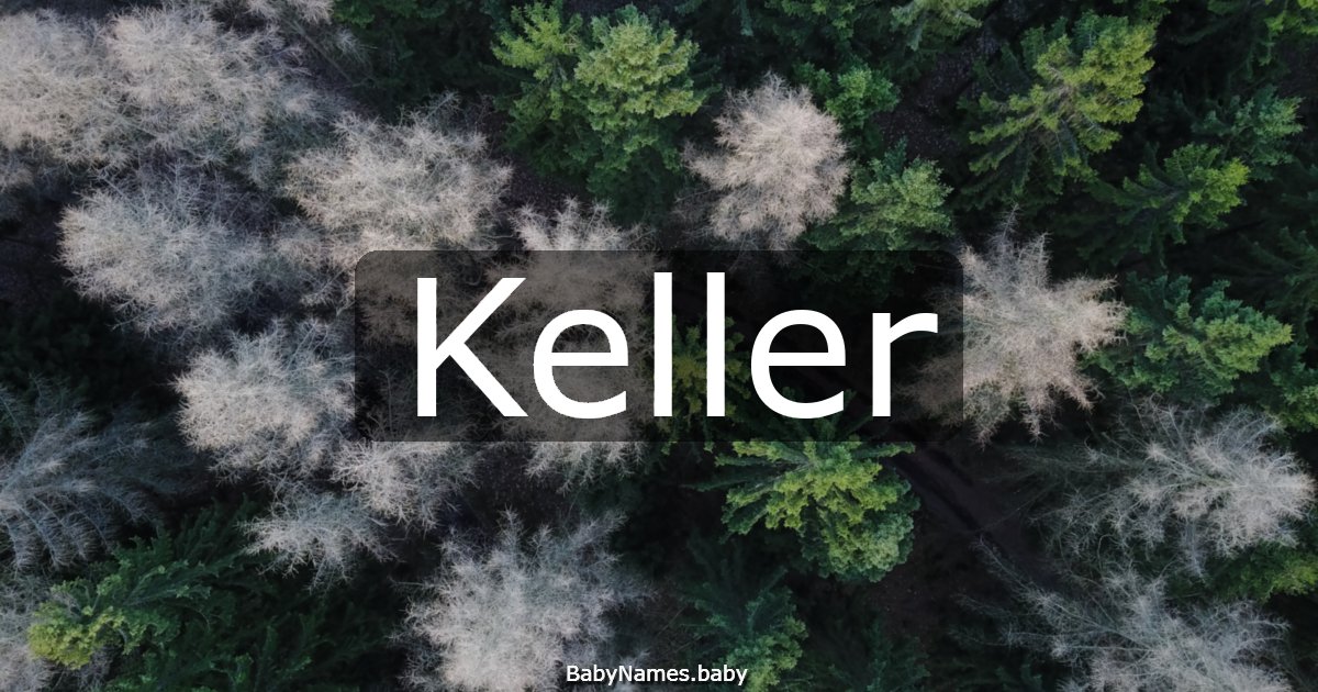 Keller