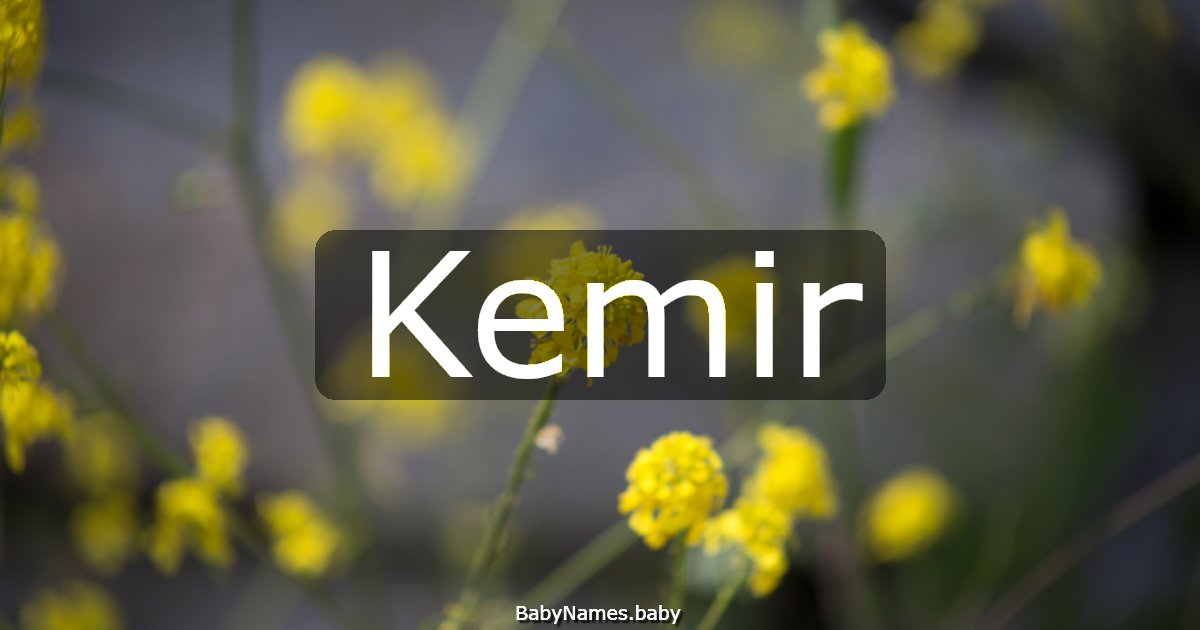 Kemir