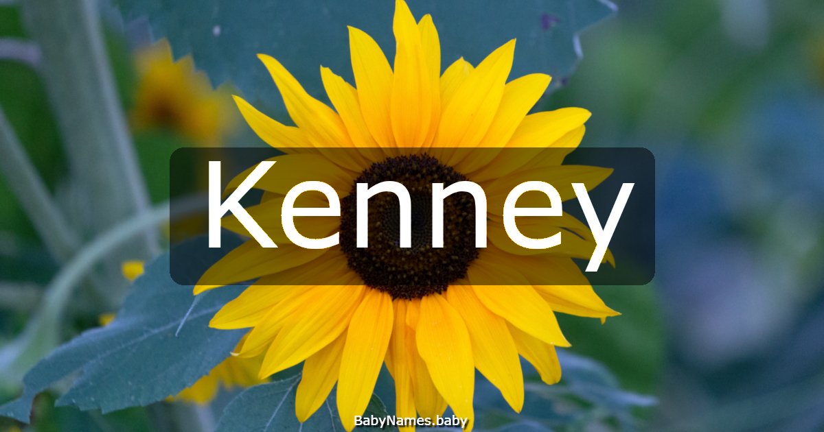 Kenney