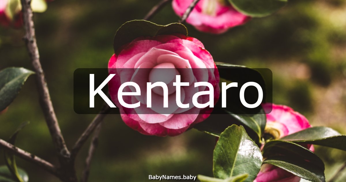 Kentaro