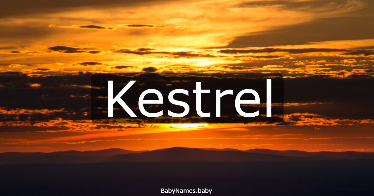 Kestrel