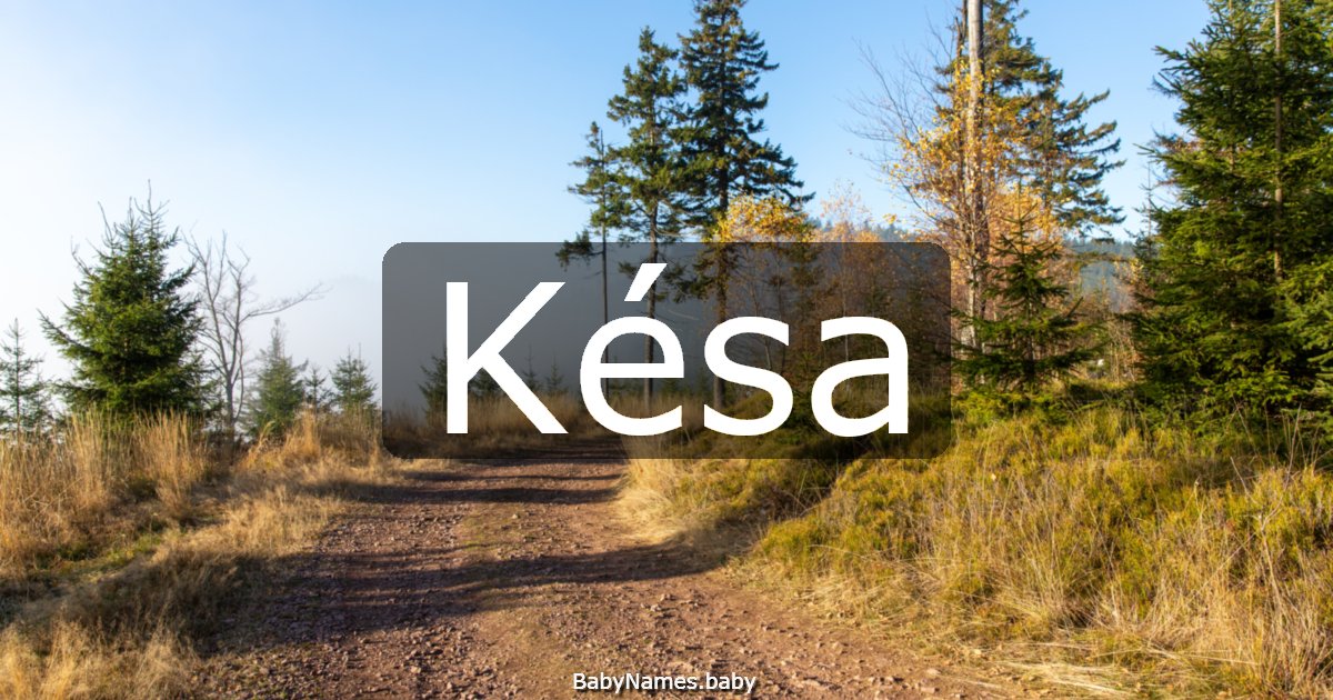 Késa