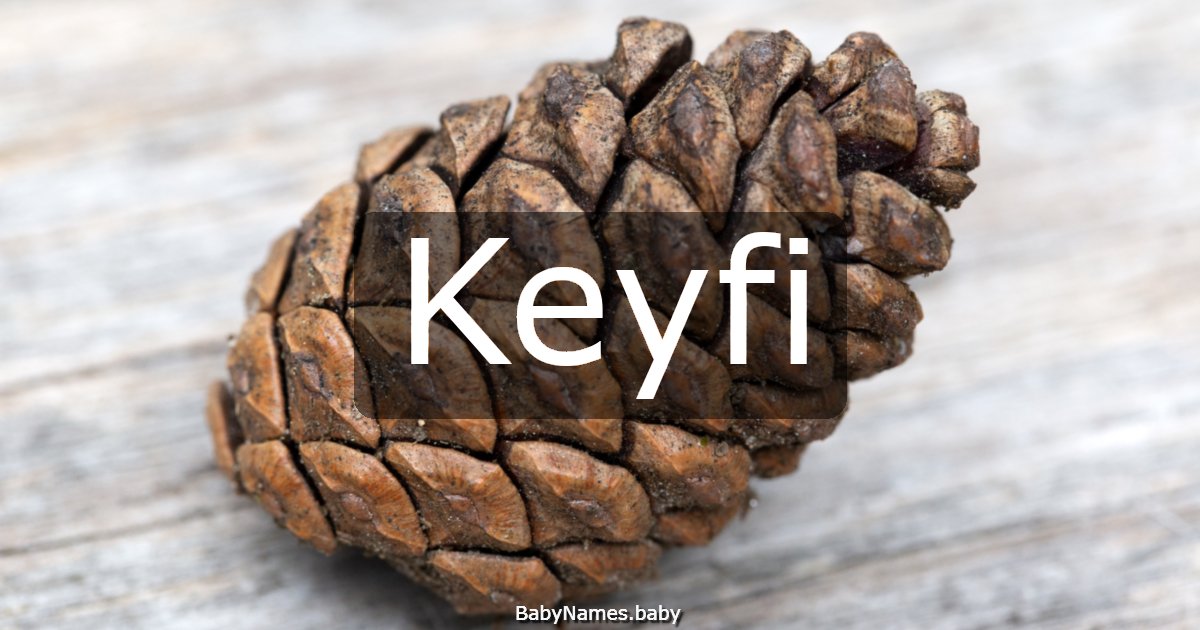 Keyfi