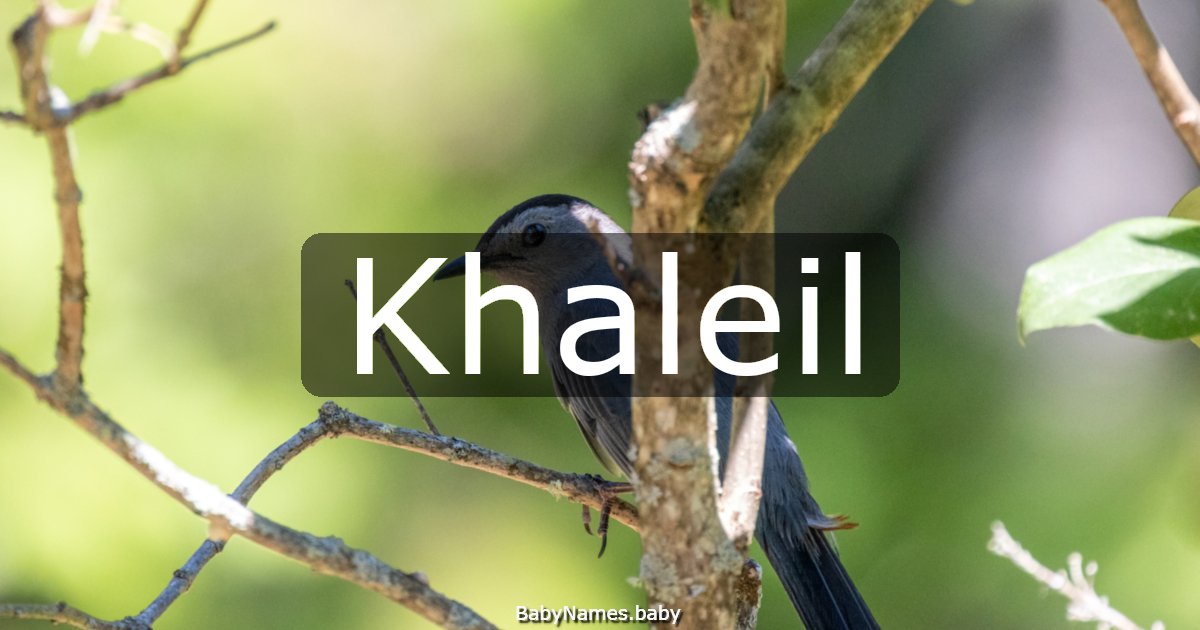 Khaleil