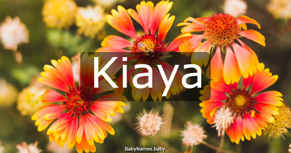 Kiaya