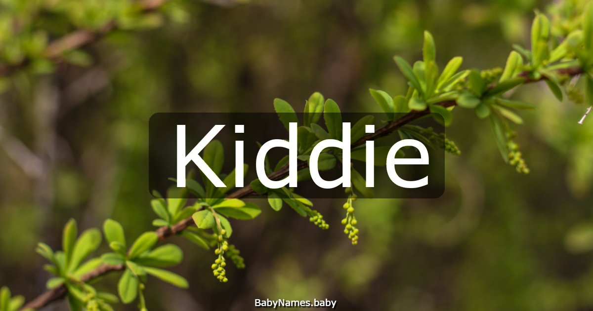 Kiddie