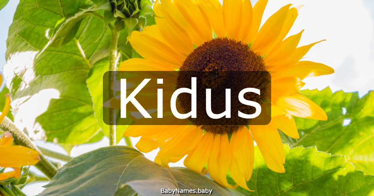 Kidus