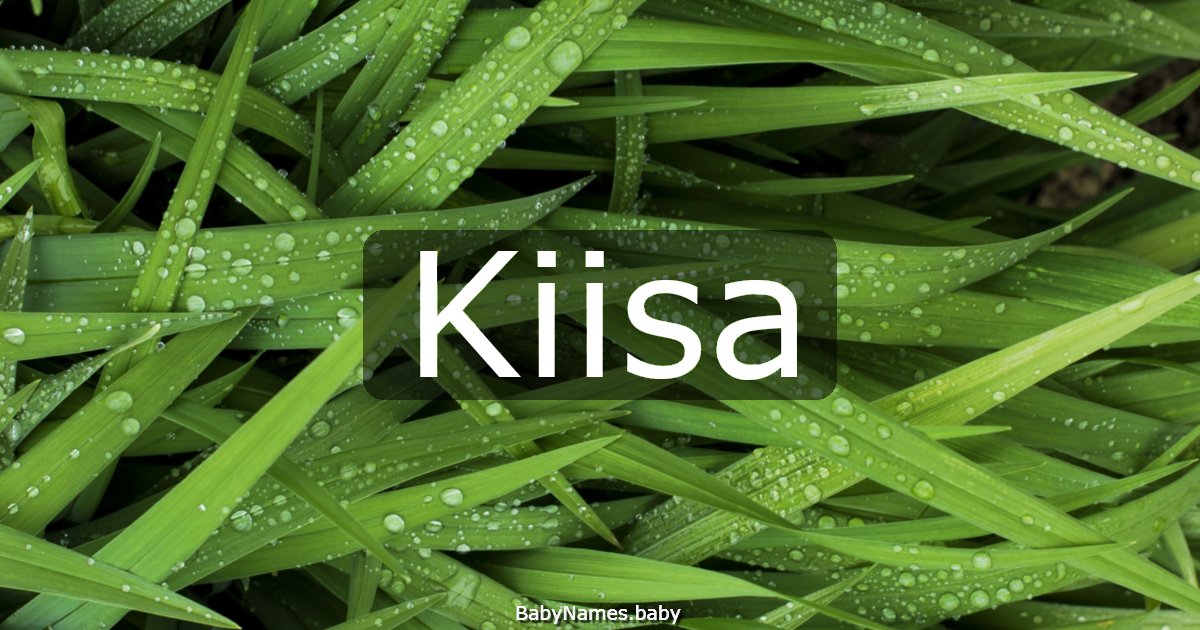Kiisa