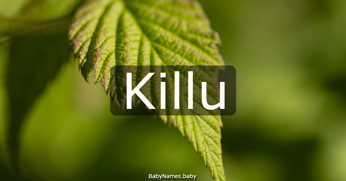 Killu
