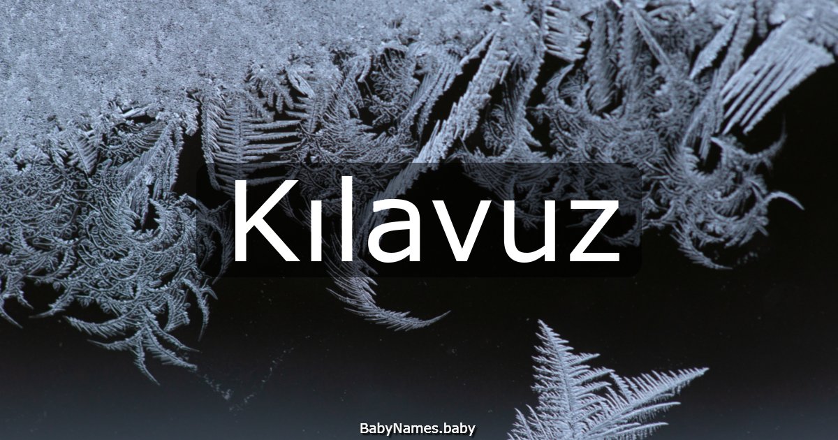 Kılavuz