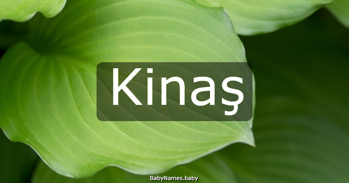 Kinaş