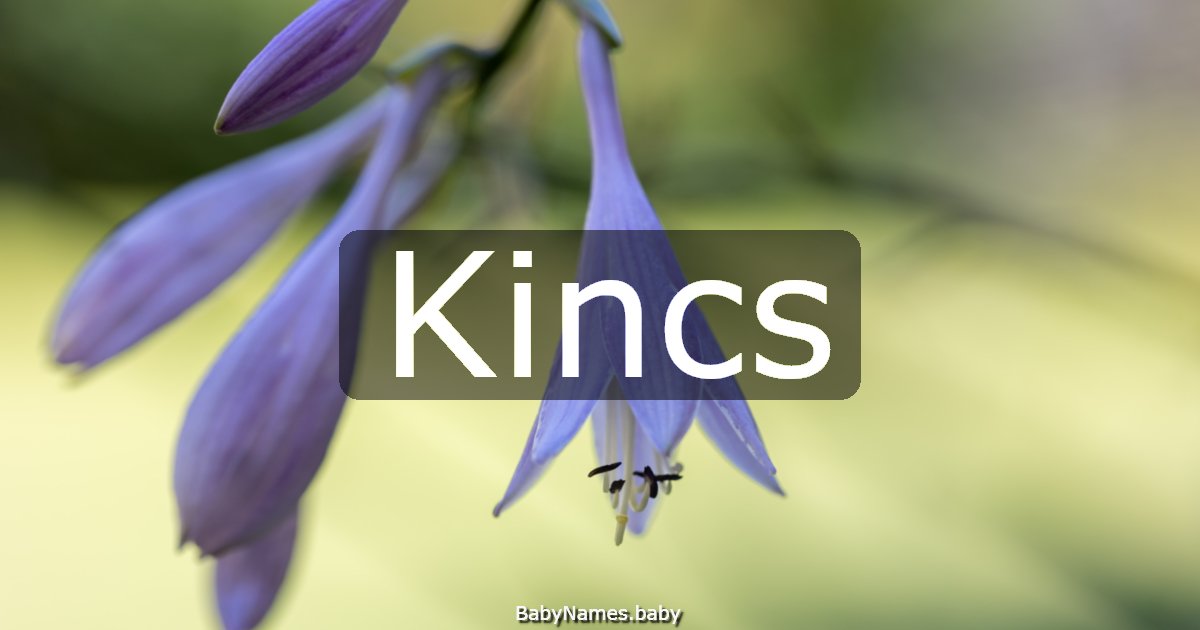Kincs