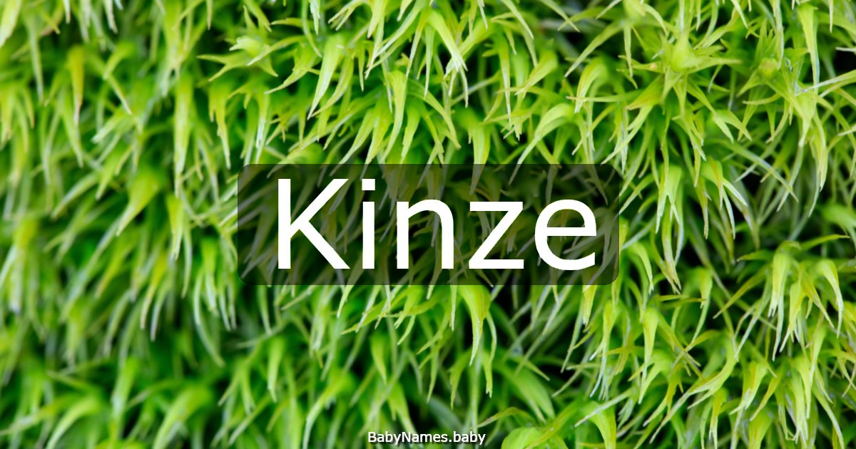 Kinze