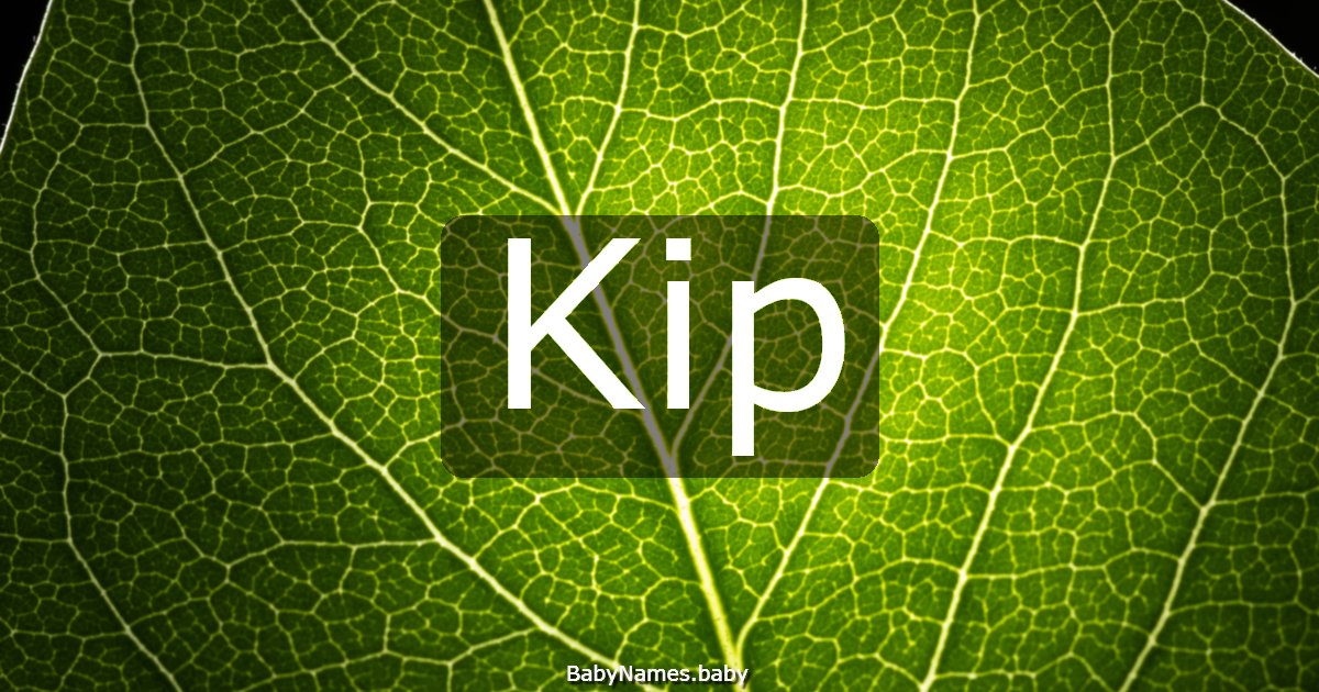 Kip