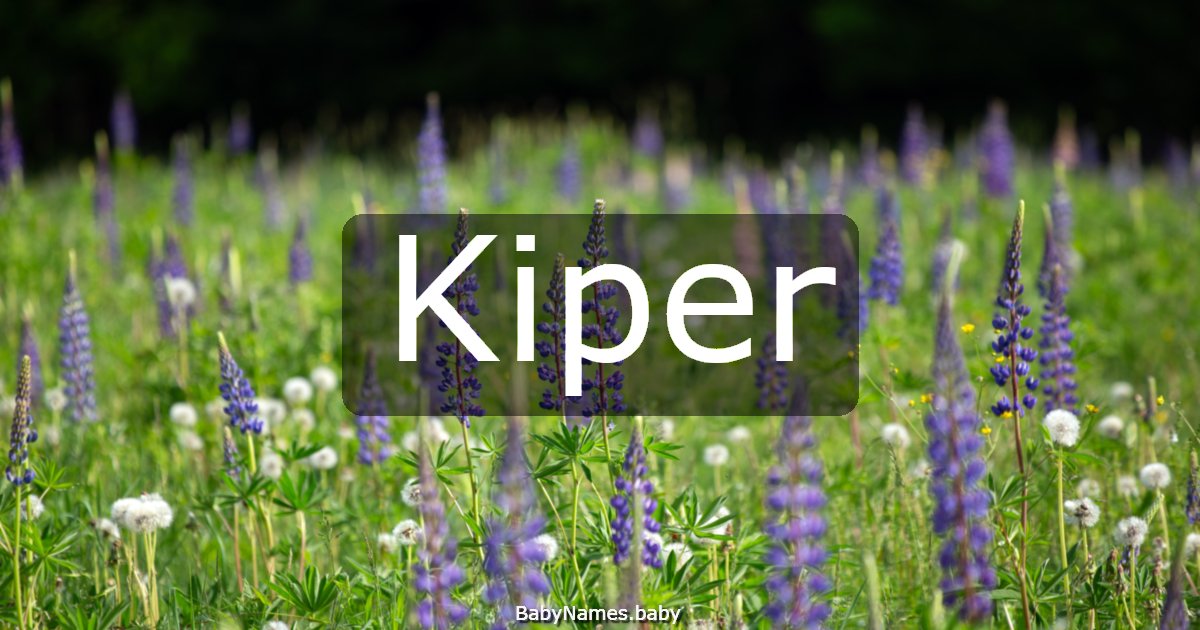 Kiper